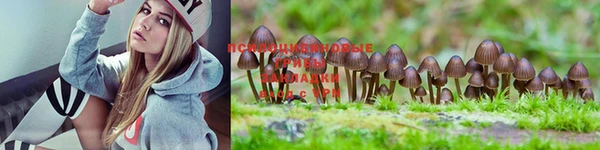 марки lsd Куйбышев