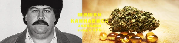 ECSTASY Корсаков