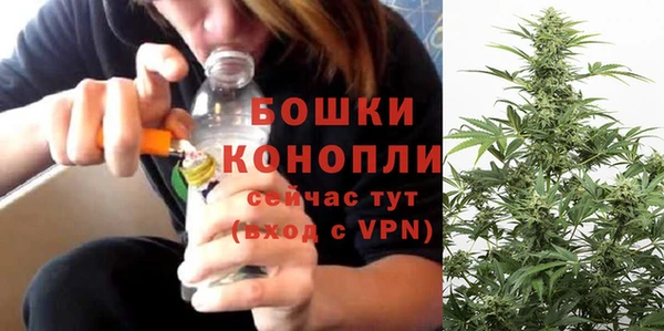 сатива Домодедово