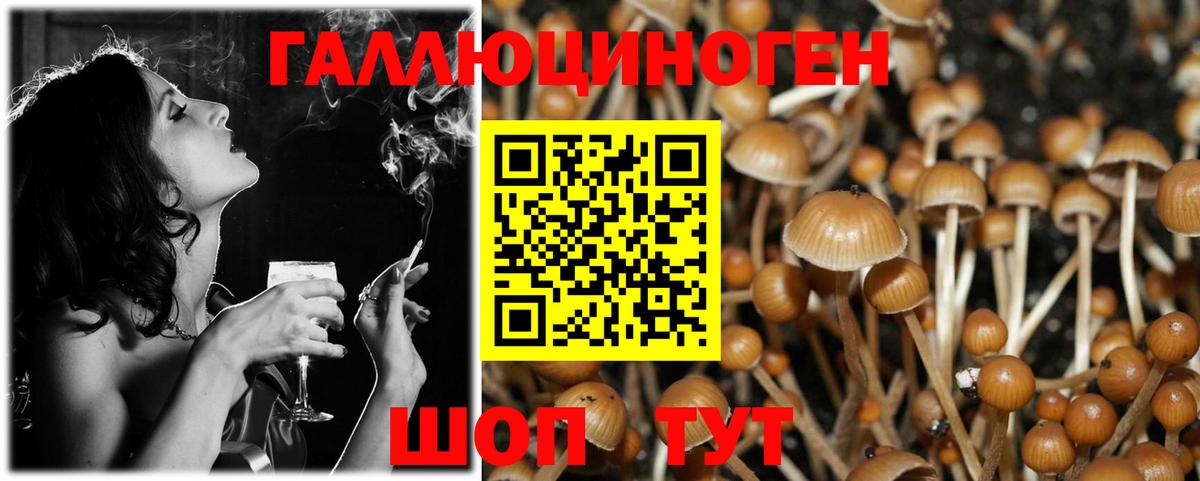 Псилоцибиновые грибы MAGIC MUSHROOMS  Вход с VPN  даркнет сайт  Псилоцибиновые грибы GOLDEN TEACHER  Михайловка 