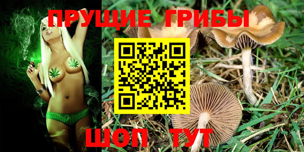 Псилоцибиновые грибы ЛСД Михайловка