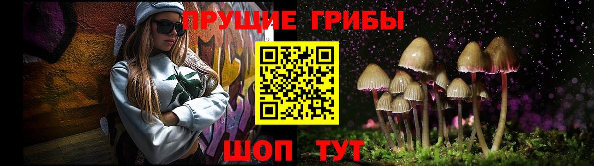 НБОМе Михайловка